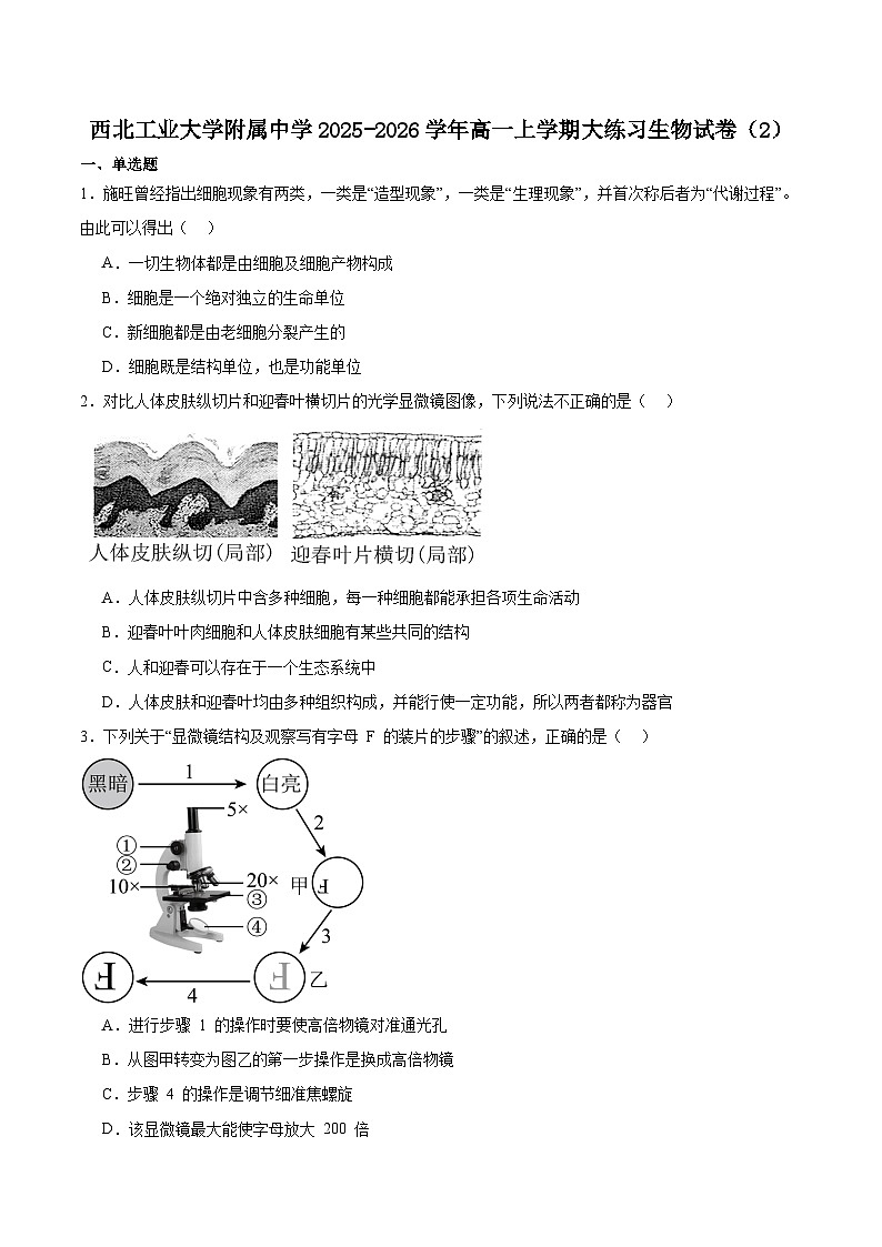 陕西省西北工业大学附属中学2025-2026学年高一上学期大练习（二）生物试题（Word版附答案）第1页