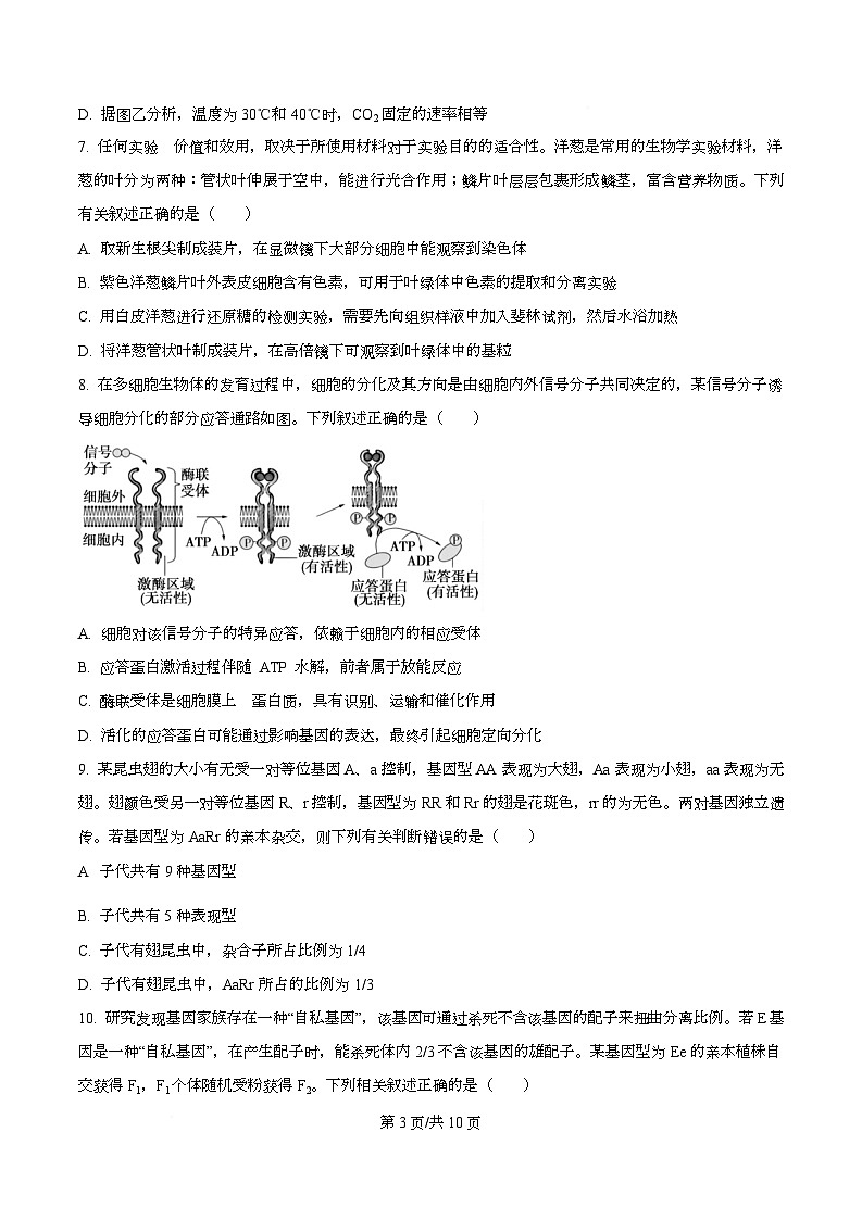 四川省成都列五中学2026届高三上学期阶段性考试（一）生物试题（原卷版）第3页