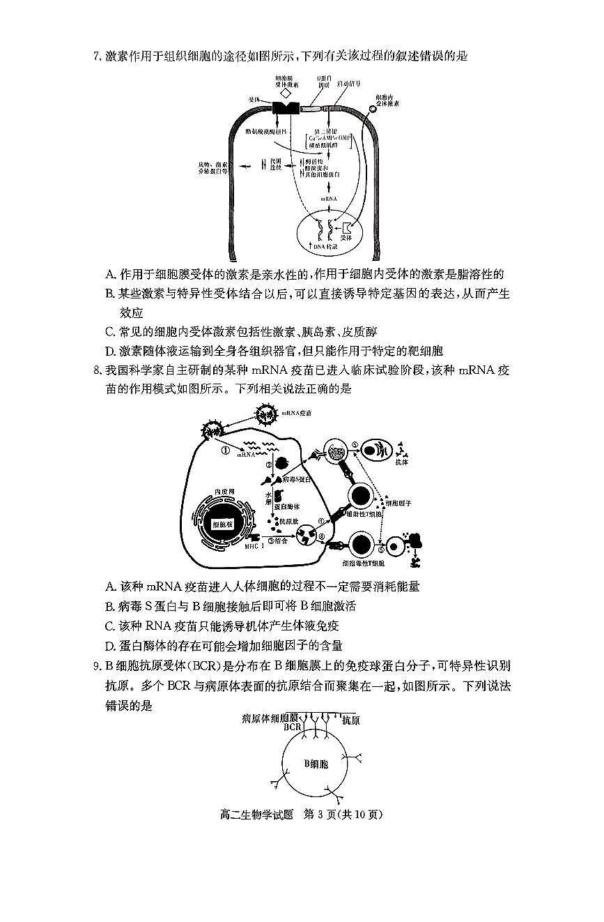 湖南省名校2024-2025学年高二上学期12月检测生物试题第3页
