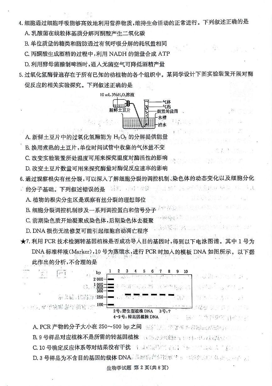 生物第2页