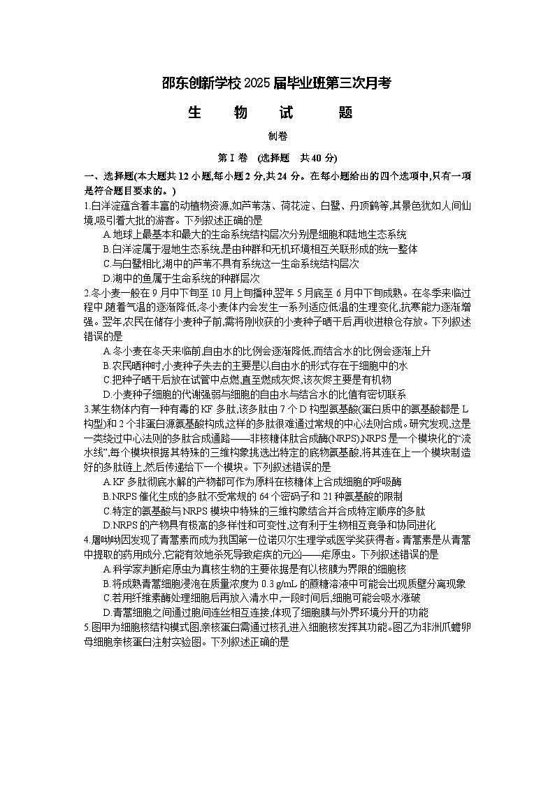 邵东创新学校2025届毕业班第三次月考(2)第1页