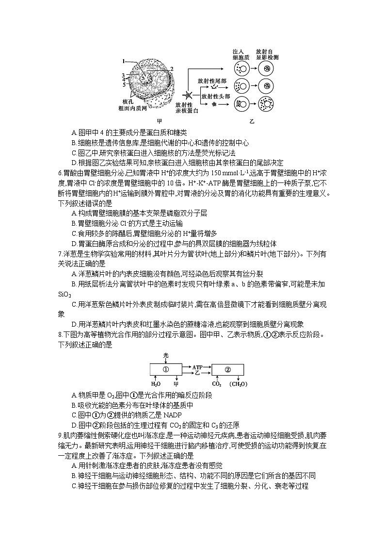 邵东创新学校2025届毕业班第三次月考(2)第2页