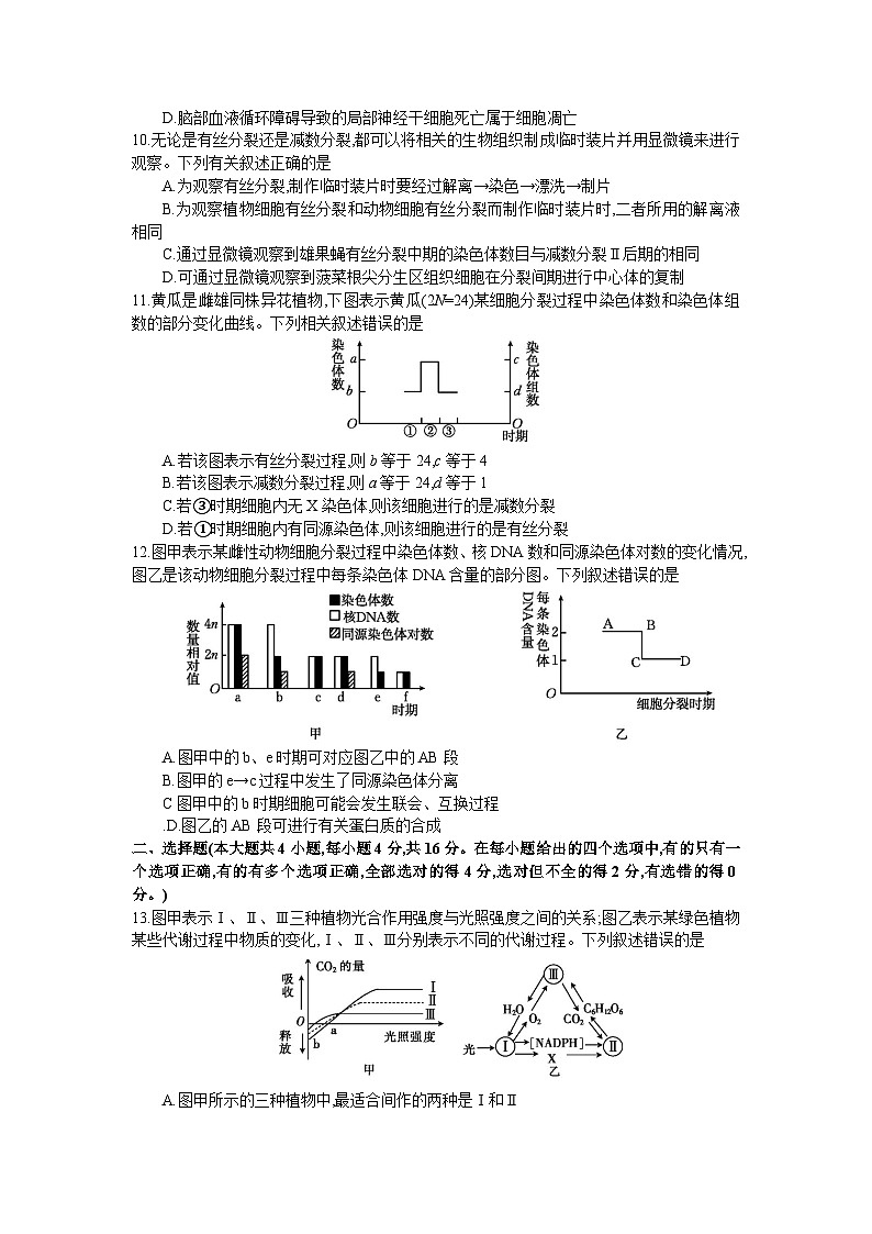邵东创新学校2025届毕业班第三次月考(2)第3页