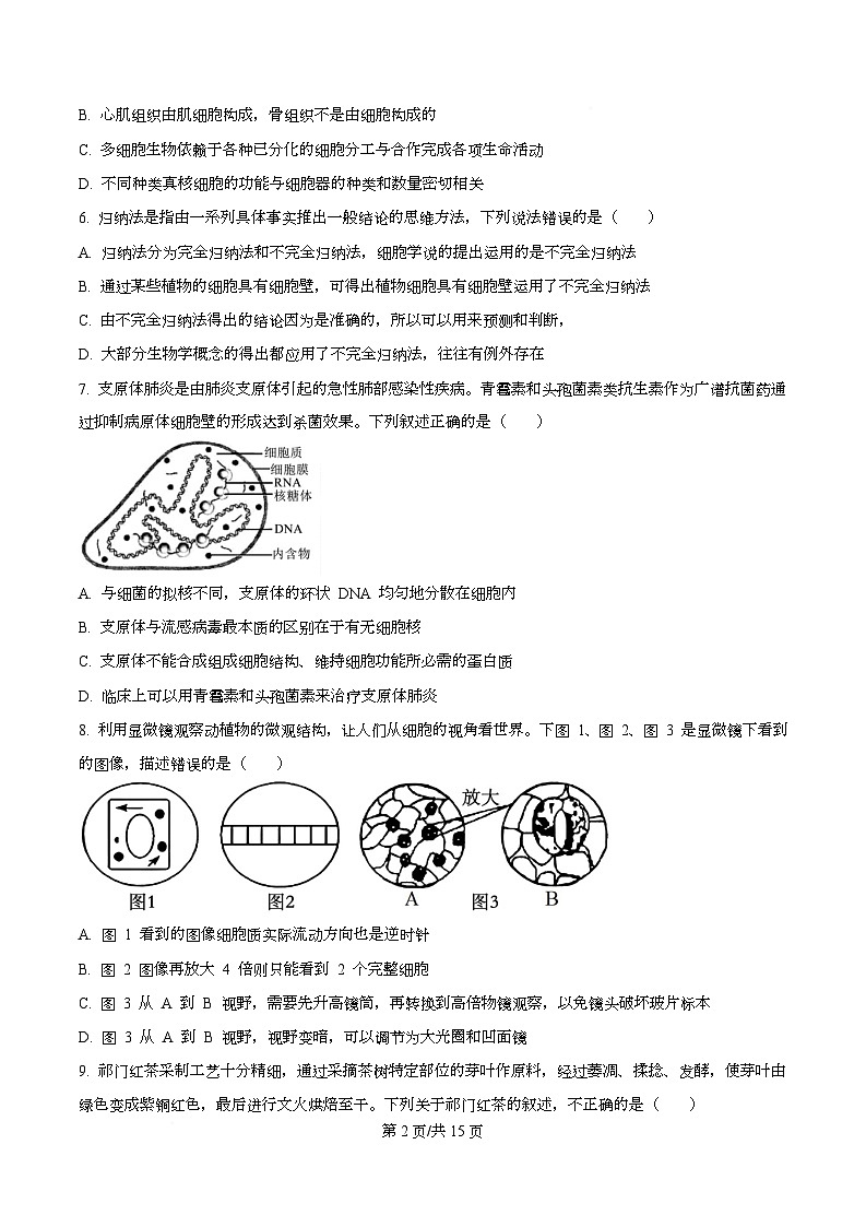 四川省成都市树德中学2025-2026学年高一上学期10月月考生物试题  （原卷版）第2页