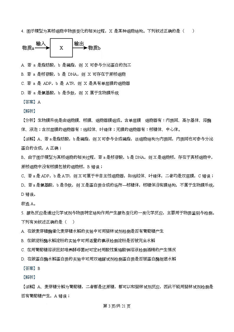 四川省广安中学2026届高三上学期10月月考生物试题 Word版含解析第3页