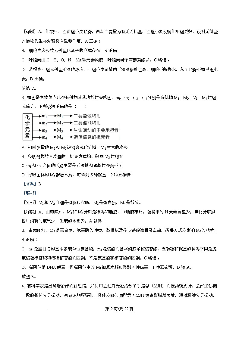 四川省绵阳市南山中学实验学校2026届高三上学期10月月考生物试题 Word版含解析第2页