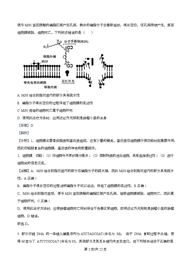 四川省绵阳市南山中学实验学校2026届高三上学期10月月考生物试题 Word版含解析第3页