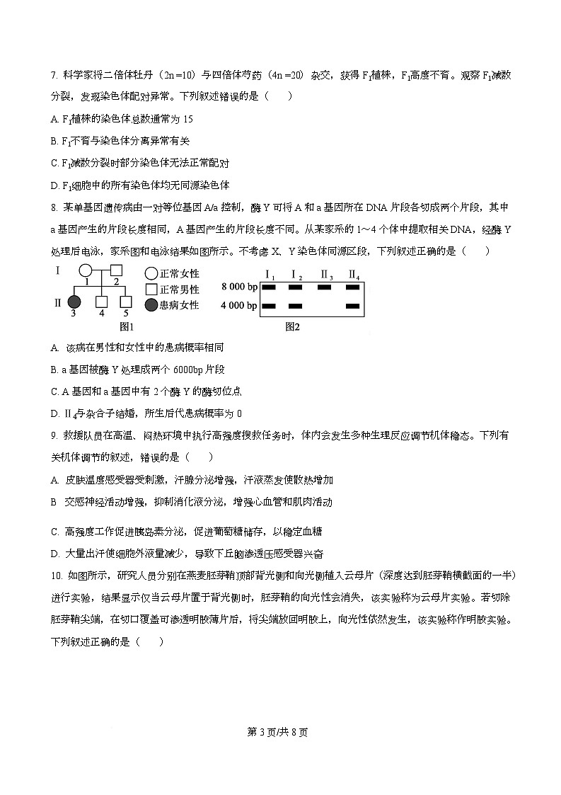 四川省南充市阆中中学2026届高三上学期十月月考生物试卷（原卷版）第3页