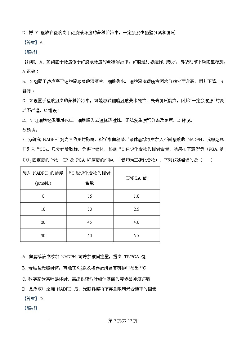 四川省南充市阆中中学2026届高三上学期十月月考生物试卷 Word版含解析第2页