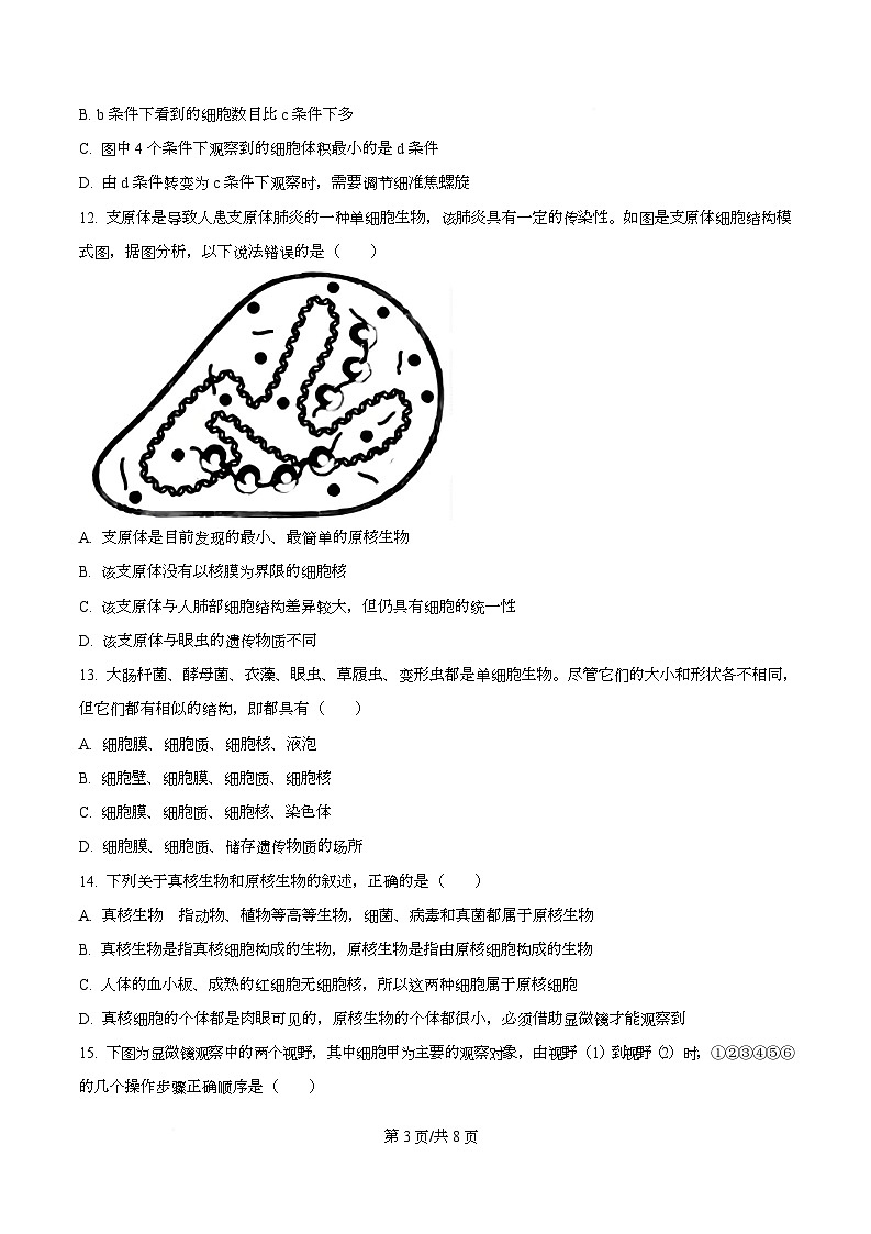 四川省南充市西充中学2025-2026学年高一上学期10月月考生物试题（原卷版）第3页