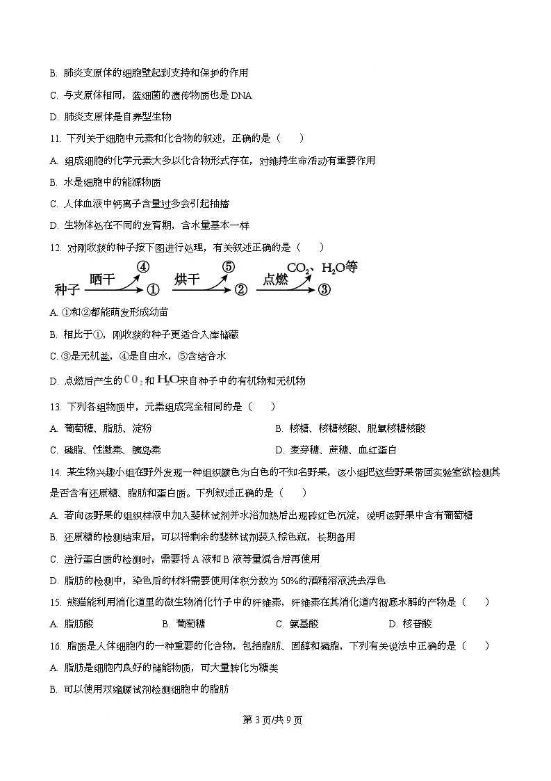 四川省内江市第一中学2025-2026学年高一上学期10月月考生物试题（原卷版）第3页