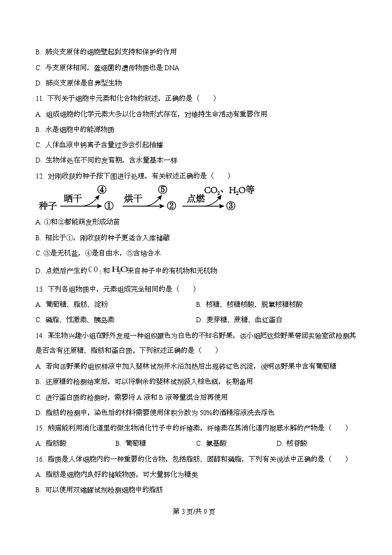 四川省内江市第一中学2025-2026学年高一上学期10月月考生物试题（原卷版）第3页