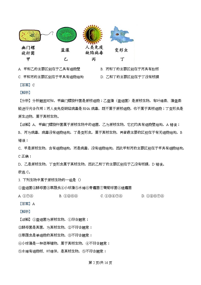四川省遂宁市蓬溪中学2025-2026学年高一上学期10月月考生物试题 Word版含解析第2页