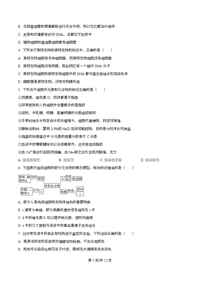 四川省遂宁市射洪中学2025-2026学年高一上学期10月月考生物试题（原卷版）第2页