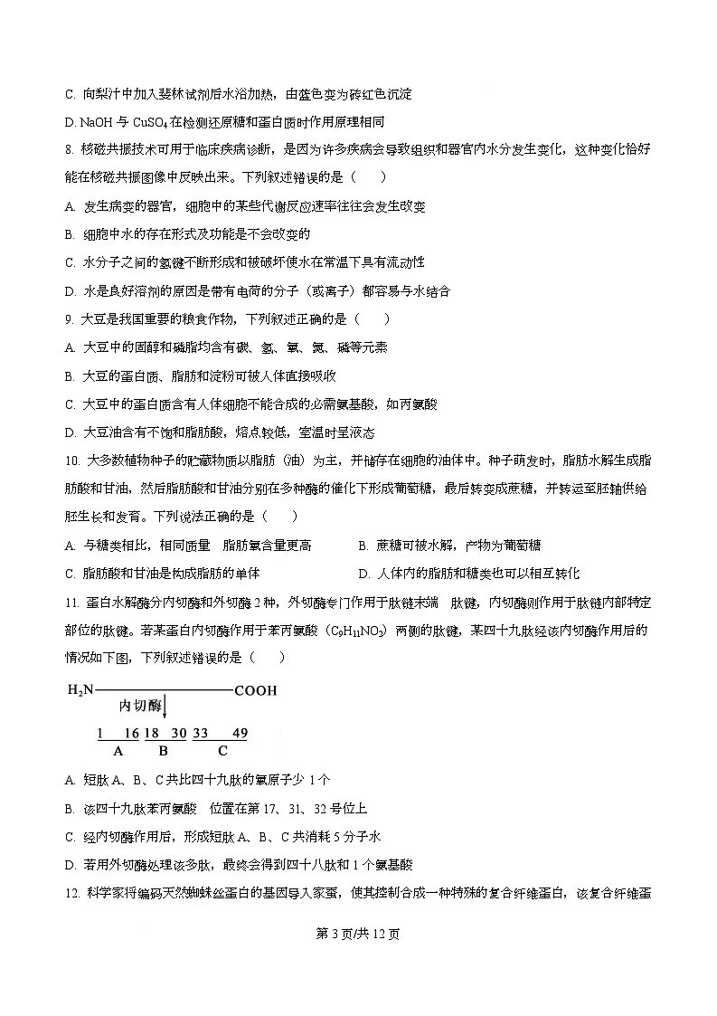 四川省遂宁市射洪中学2025-2026学年高一上学期10月月考生物试题（原卷版）第3页