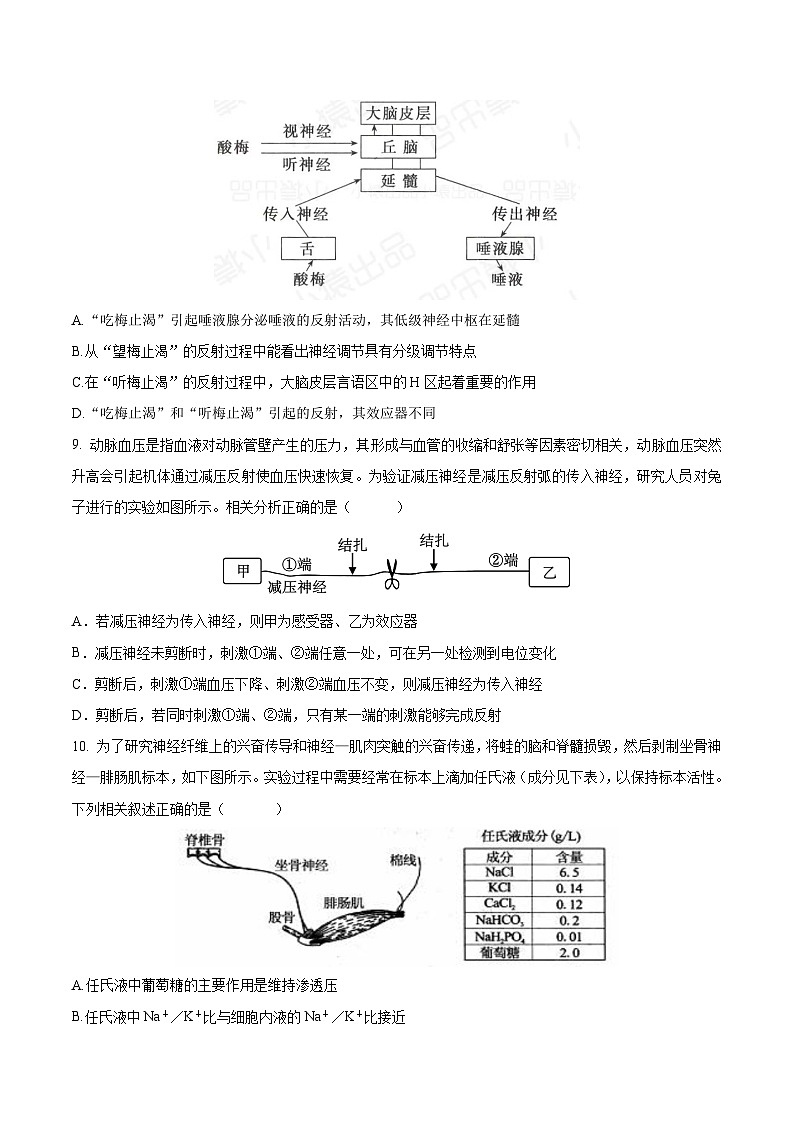 云南省玉溪第一中学2025-2026学年高二上学期第一次月考生物试题（Word版附答案）第3页