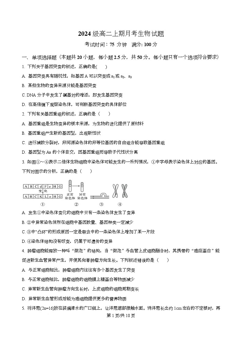 重庆市万州第二高级中学2025-2026学年高二上学期10月月考生物试题 （原卷版）第1页