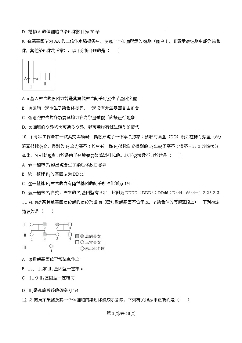 重庆市万州第二高级中学2025-2026学年高二上学期10月月考生物试题 （原卷版）第3页