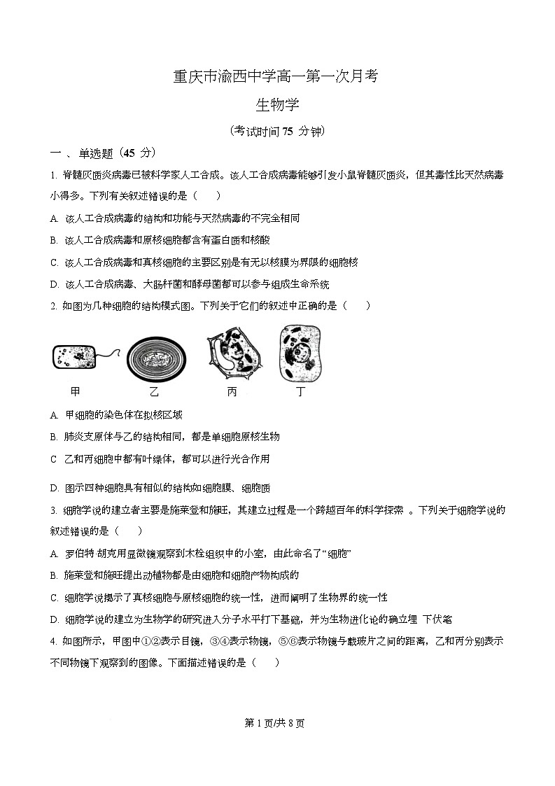 重庆市渝西中学2025-2026学年高一上学期10月月考生物试题（原卷版）第1页