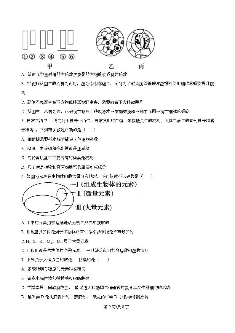 重庆市渝西中学2025-2026学年高一上学期10月月考生物试题（原卷版）第2页