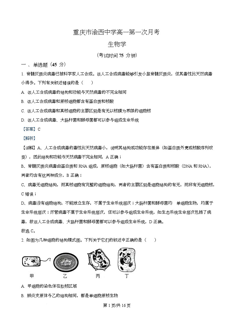 重庆市渝西中学2025-2026学年高一上学期10月月考生物试题 Word版含解析第1页