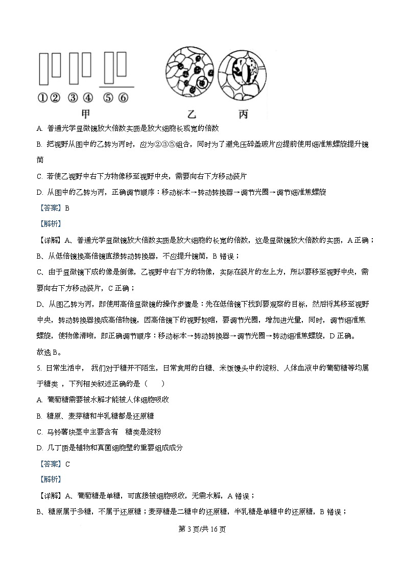 重庆市渝西中学2025-2026学年高一上学期10月月考生物试题 Word版含解析第3页