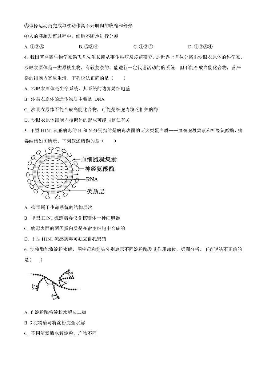 陕西省西安市部分学校联考2024-2025学年高一上学期11月期中生物试题含答案第2页