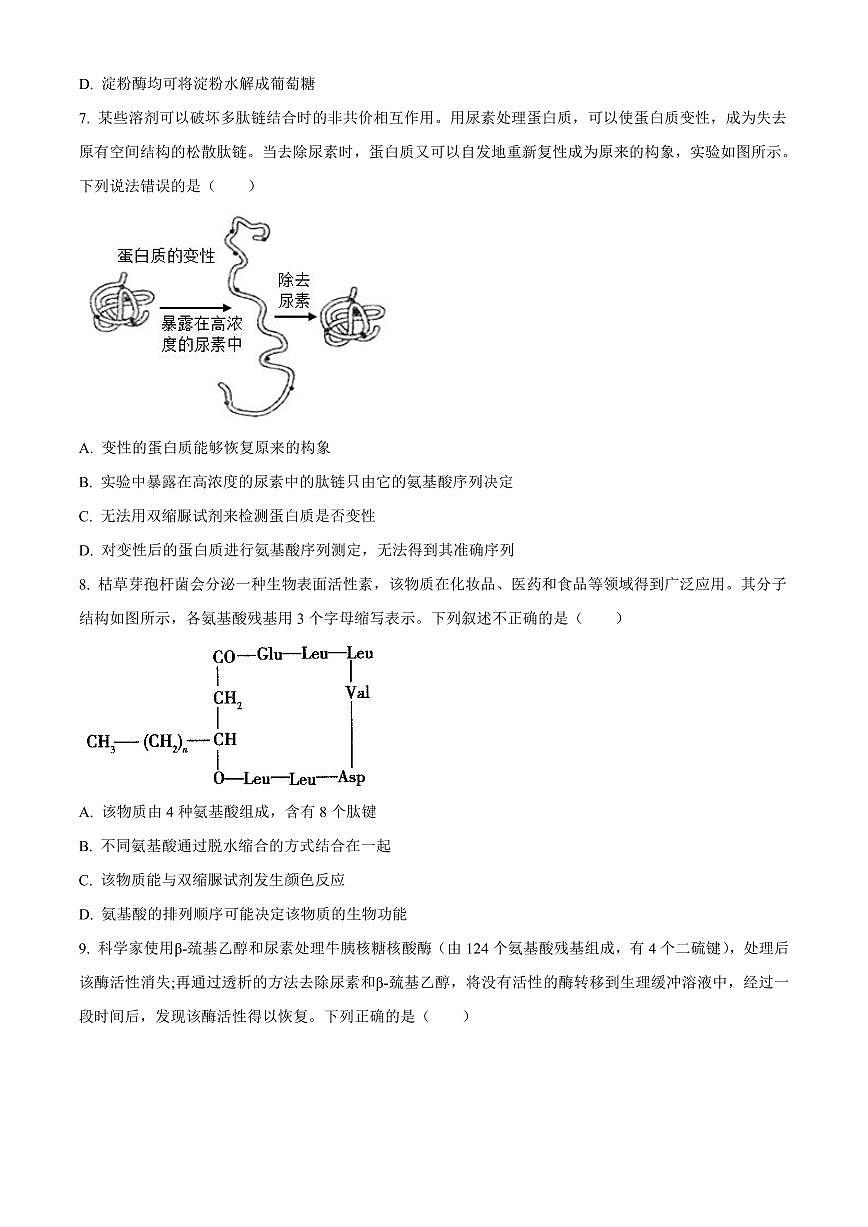 陕西省西安市部分学校联考2024-2025学年高一上学期11月期中生物试题含答案第3页
