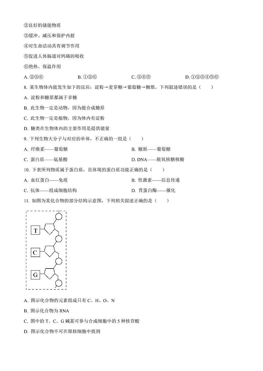 天津市红桥区2024-2025学年高一上学期期中考试生物试卷含答案第2页