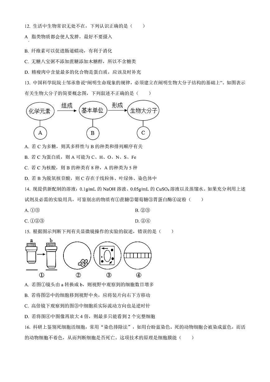 天津市红桥区2024-2025学年高一上学期期中考试生物试卷含答案第3页