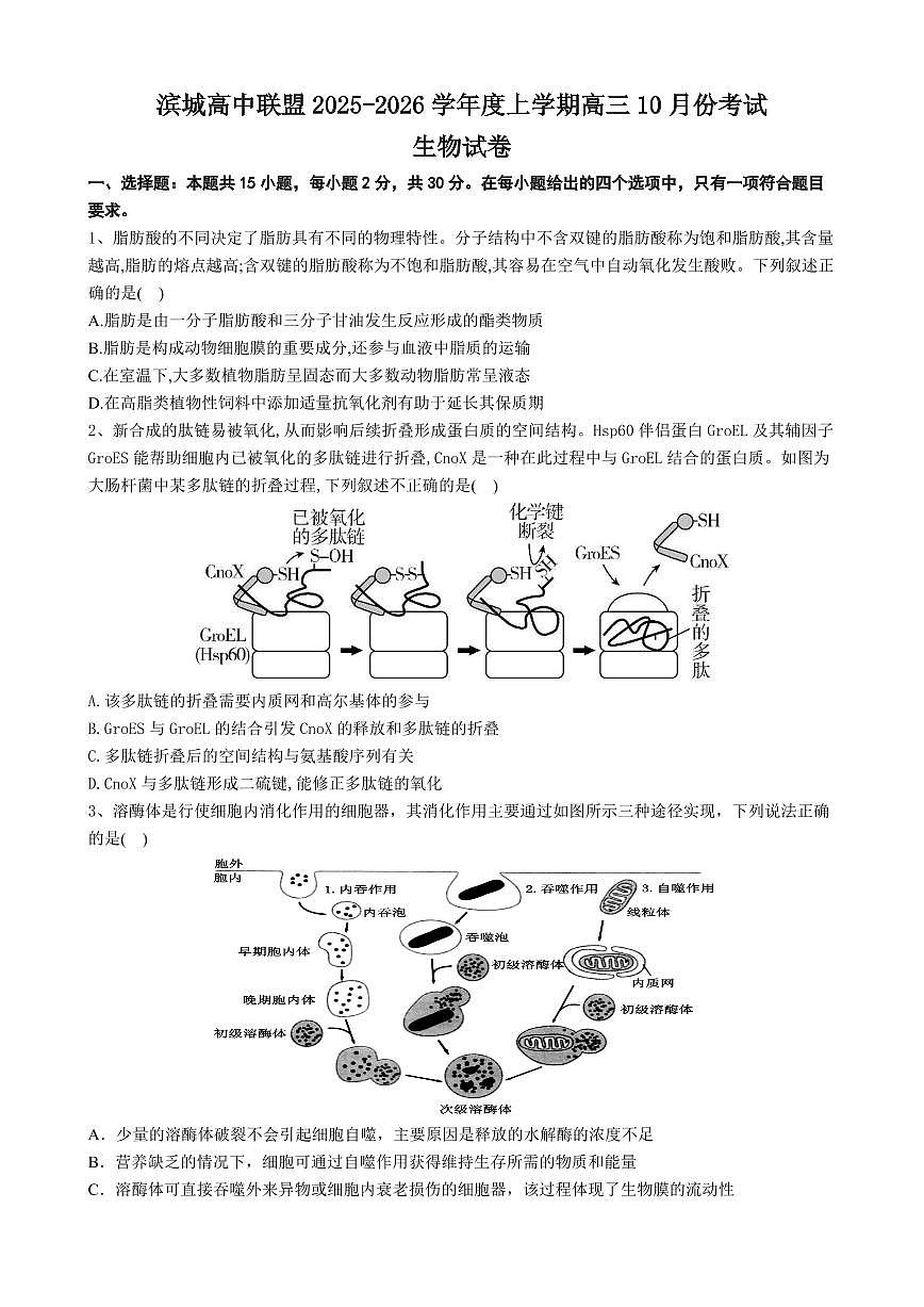 辽宁省大连市滨城高中联盟2026届高三上学期10月份期中考生物试卷+答案第1页