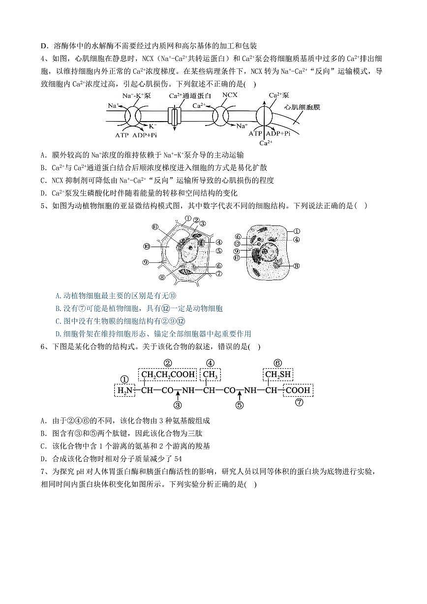 辽宁省大连市滨城高中联盟2026届高三上学期10月份期中考生物试卷+答案第2页