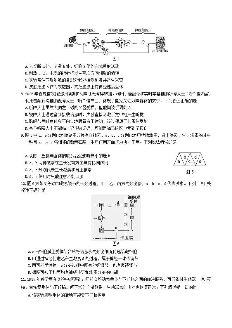 广西贵百河2025-2026学年高二上学期10月月考测试生物试卷（含解析）第3页