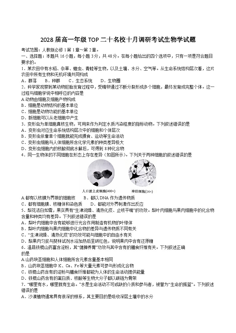 河南省部分重点中学TOP二十名校2025-2026学年高一上学期10月调研考试生物试卷第1页