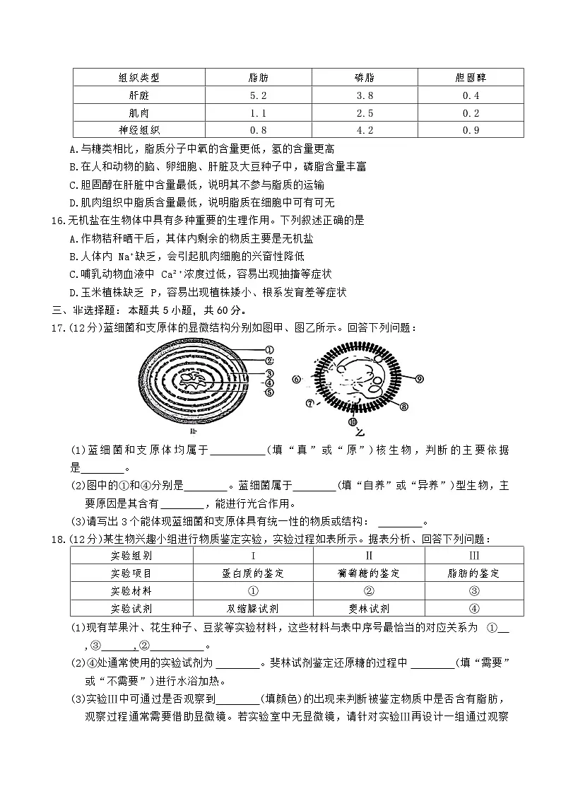 湖南省多校联考2025-2026学年高一上学期10月阶段考试生物试卷（Word版附解析）第3页