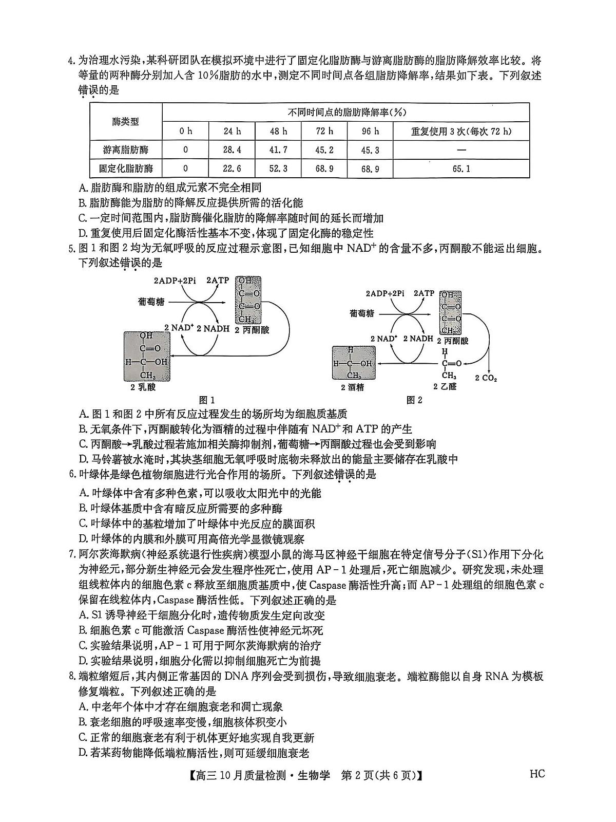 九师联盟2026届高三上学期10月月考（HC）生物试题+答案第2页