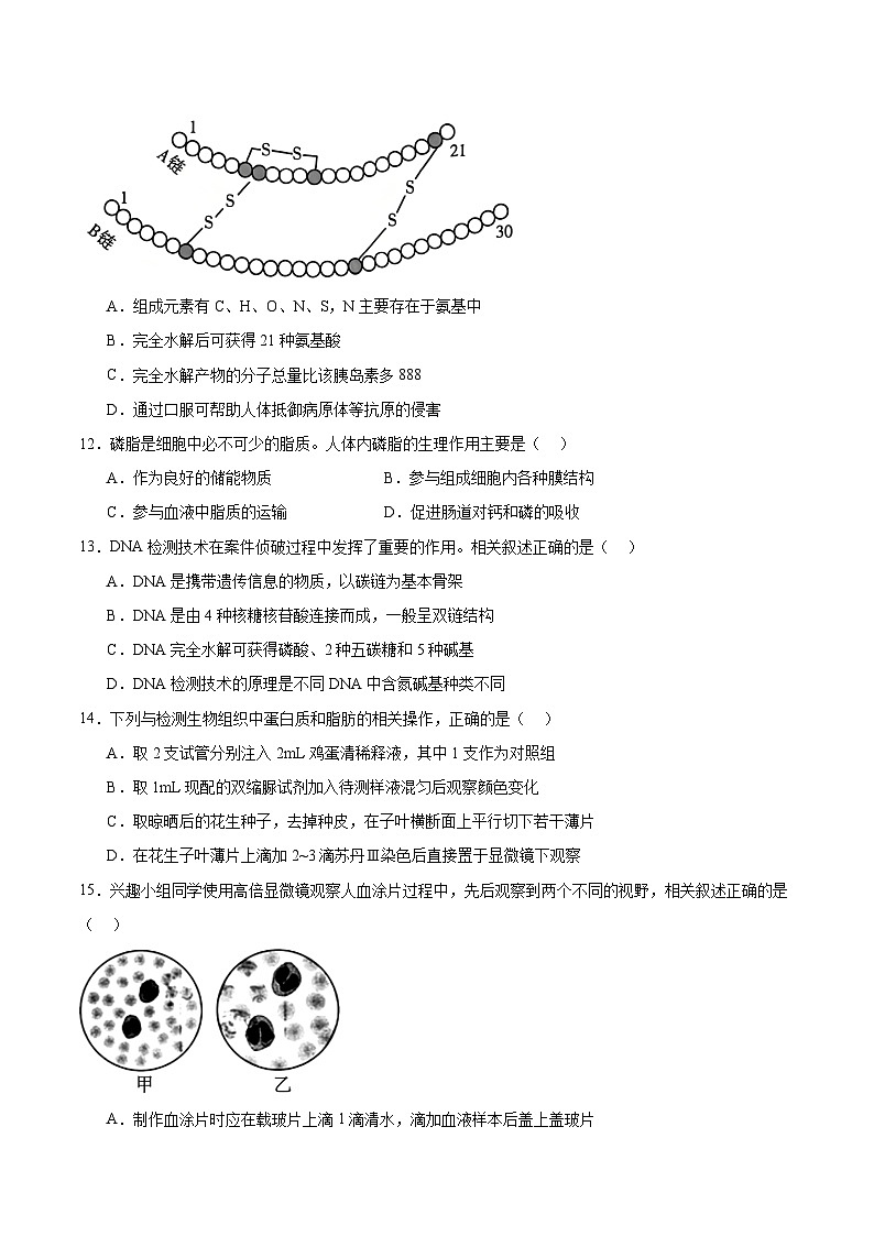 江苏省南通市2025-2026学年高一上学期10月调研测试生物试卷（Word版附答案）第3页