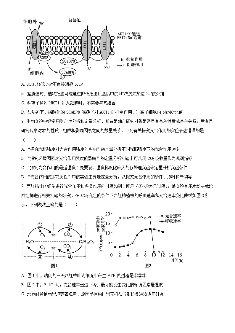 山东省实验中学2025—2026学年高三上学期第一次诊断性考试生物试题（原卷版）第3页