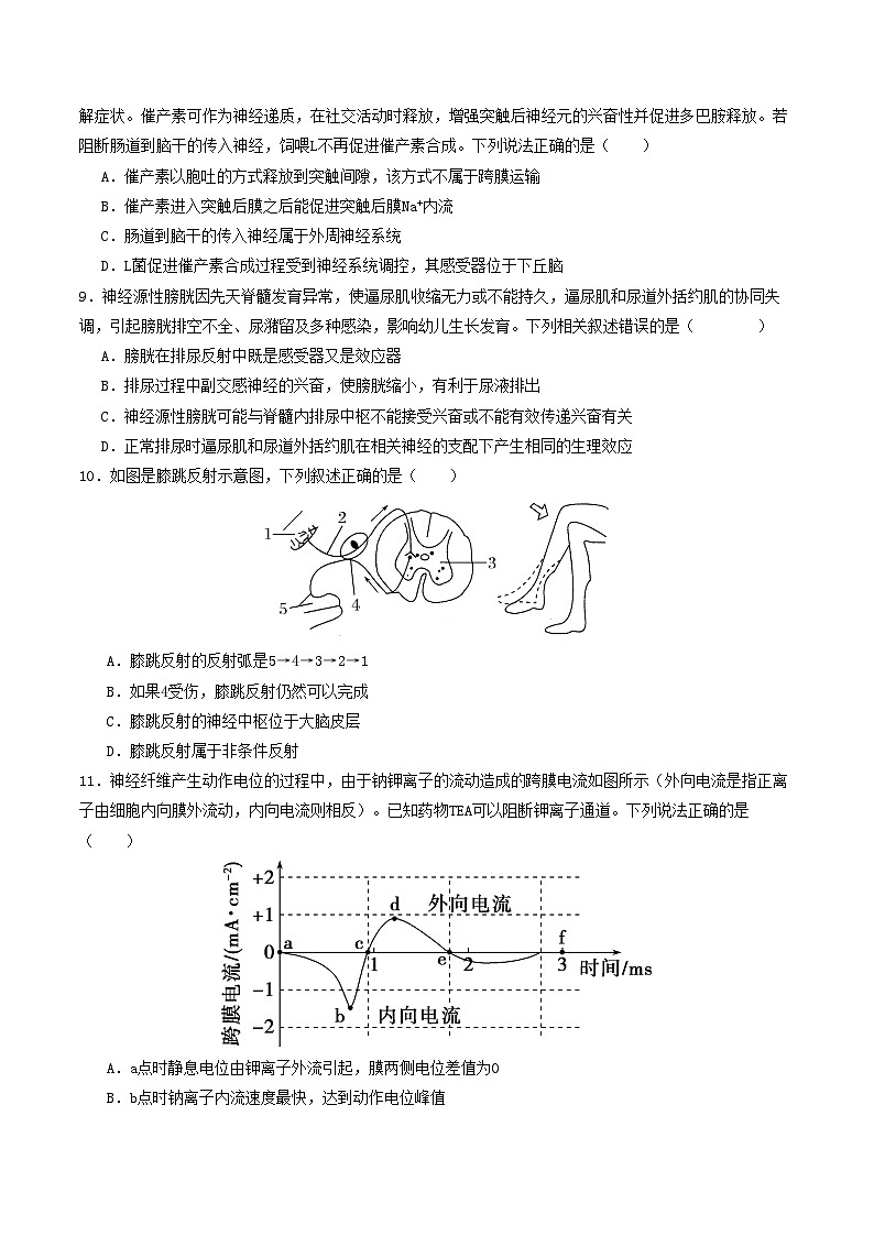 2025-2026学年高二生物上学期第一次月考试题生物试卷（人教版）（考试版）第3页