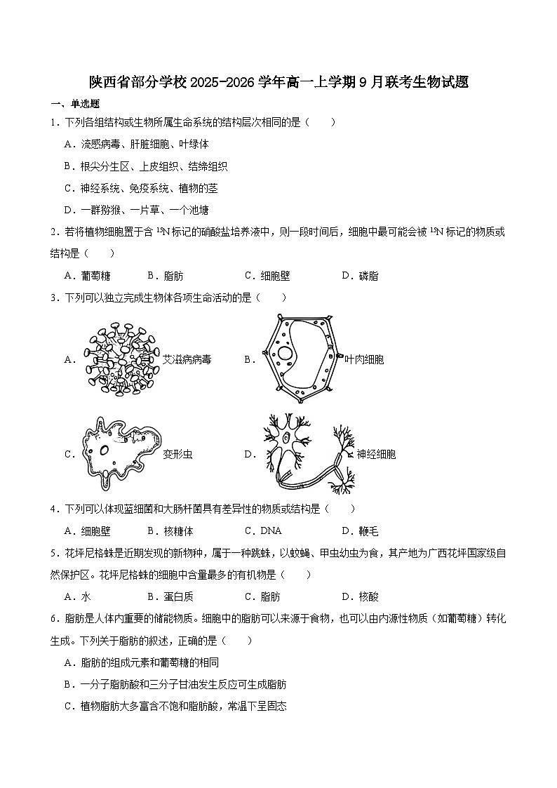 陕西省部分学校2025-2026学年高一上学期9月联考生物试卷（Word版附答案）第1页