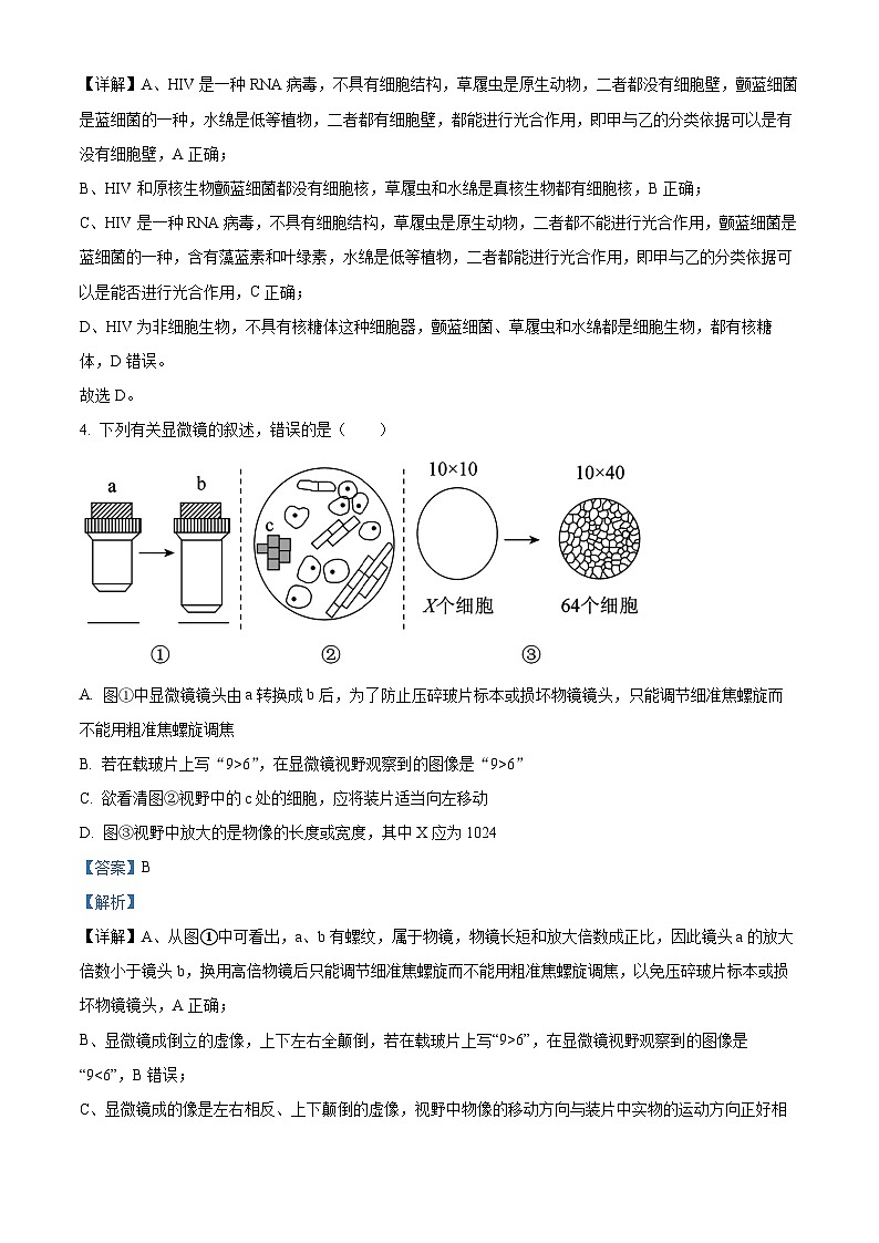 河南省南阳市六校2025-2026学年高一上学期10月月考生物试题（解析版）第3页