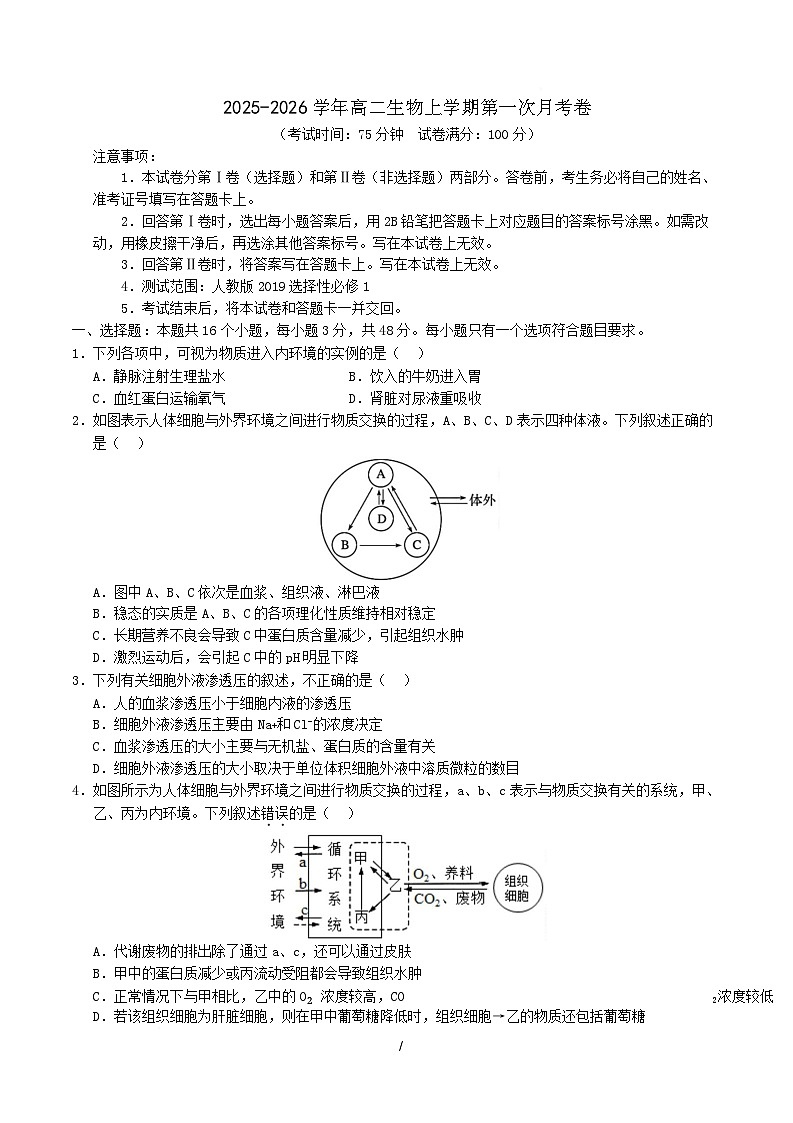 2025-2026学年高二生物上学期第一次月考试题生物试卷（陕晋青宁专用）（考试版）第1页