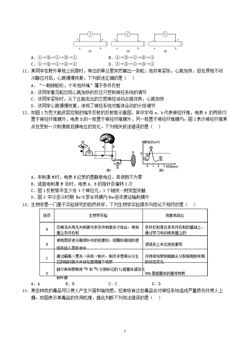 2025-2026学年高二生物上学期第一次月考试题生物试卷（陕晋青宁专用）（考试版）第3页