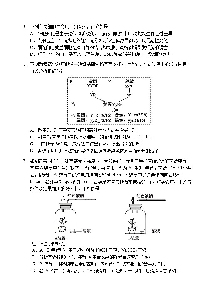 哈三中2025-2026学年度高三上学期期中生物试卷及答案第2页
