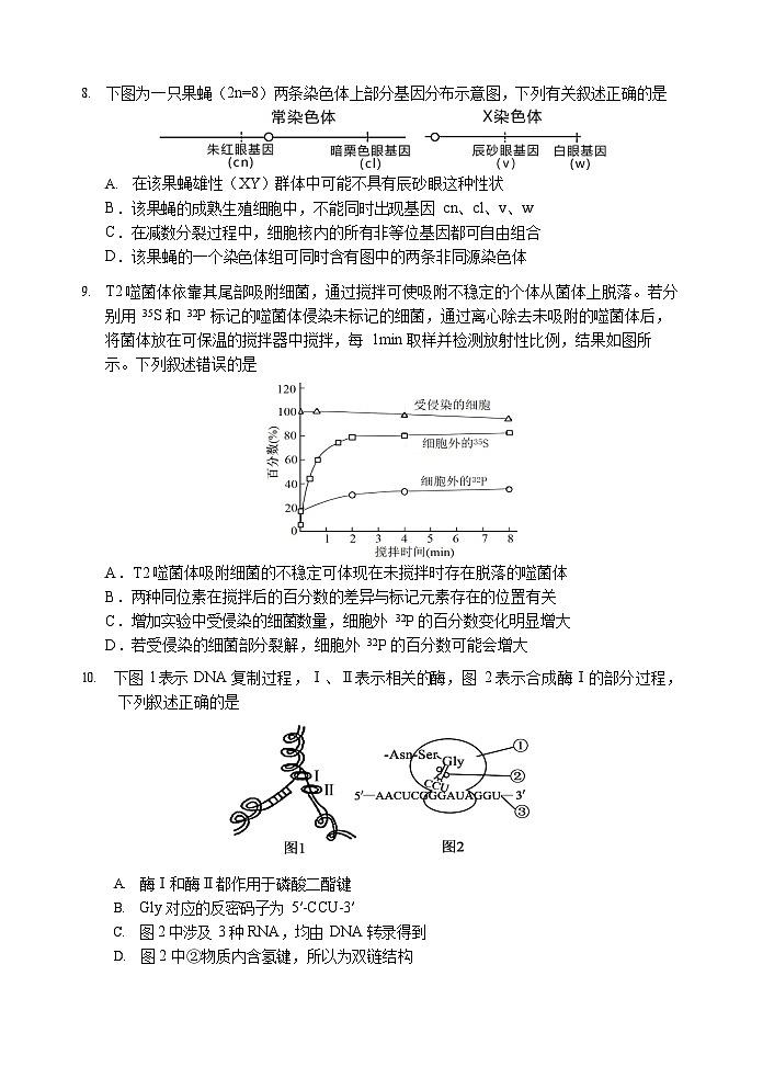 哈三中2025-2026学年度高三上学期期中生物试卷及答案第3页