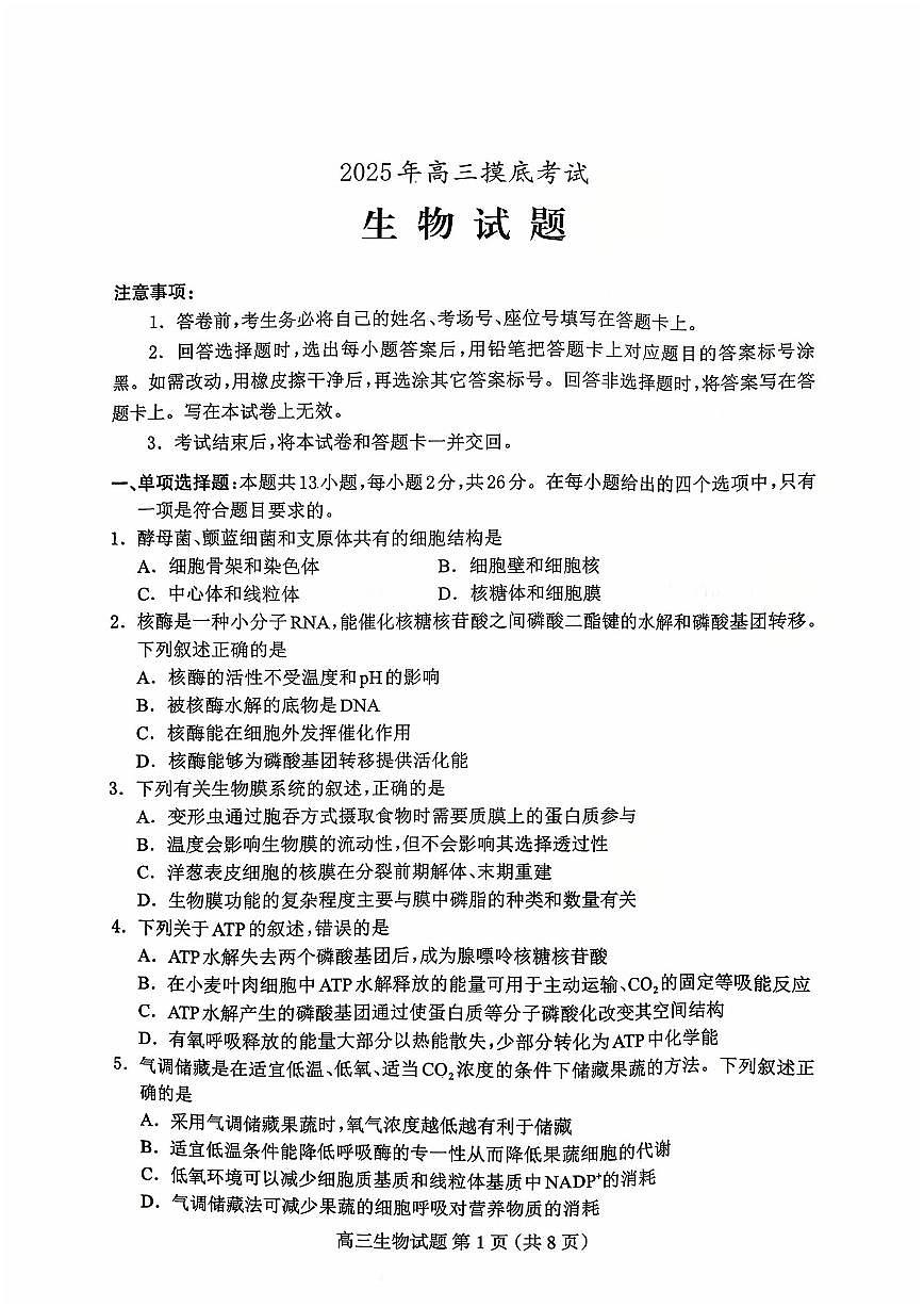 2025年保定高三上学期10月生物试题无答案第1页