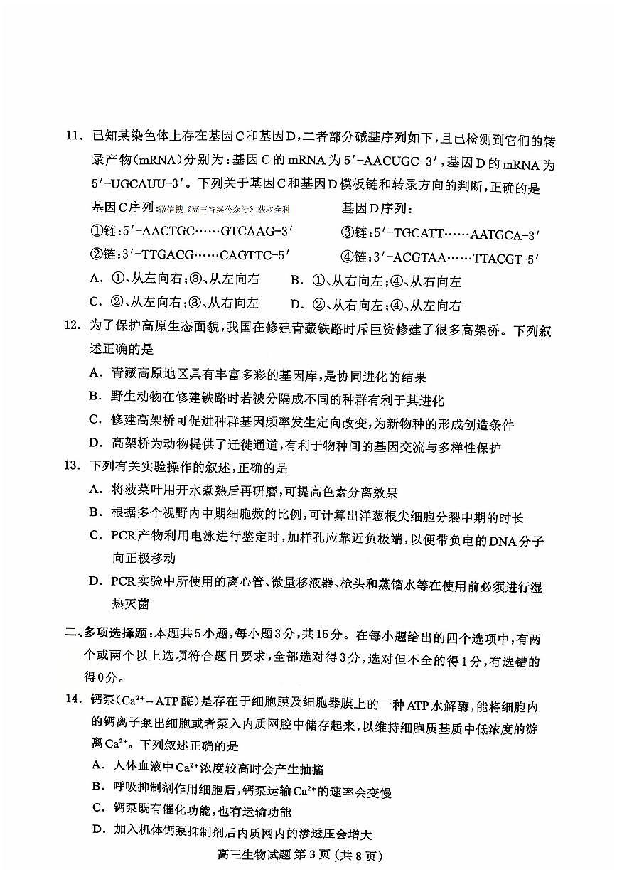 2025年保定高三上学期10月生物试题无答案第3页