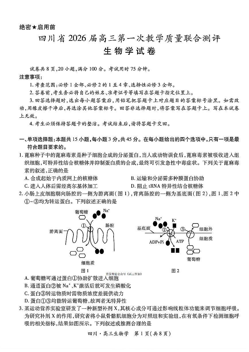 2025年四川大数据高三上学期10月生物试题及答案第1页