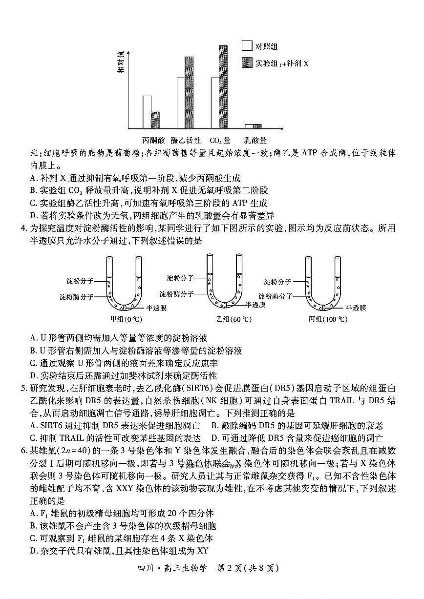 2025年四川大数据高三上学期10月生物试题及答案第2页