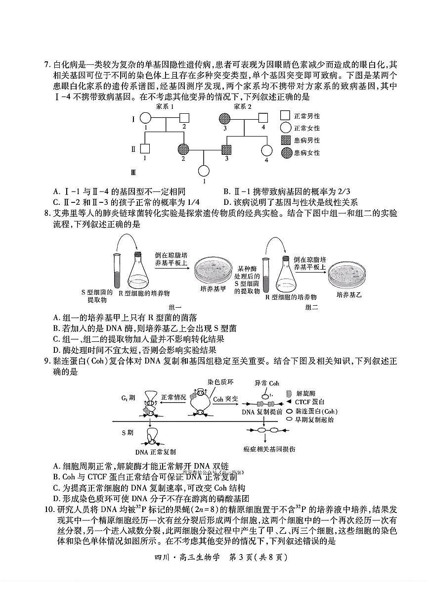 2025年四川大数据高三上学期10月生物试题及答案第3页